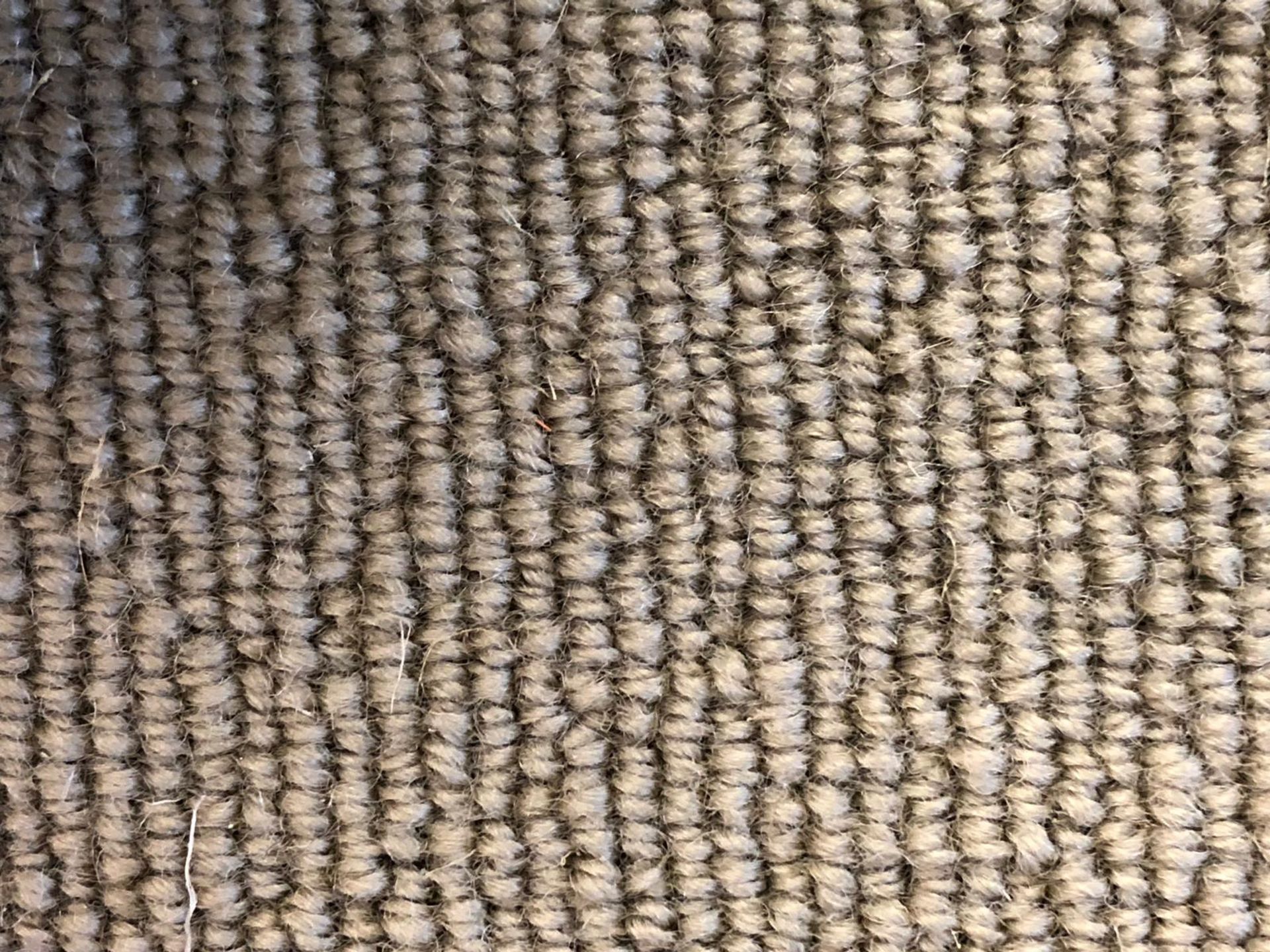 Fawn Wool Twist 4.96M X 3.98M