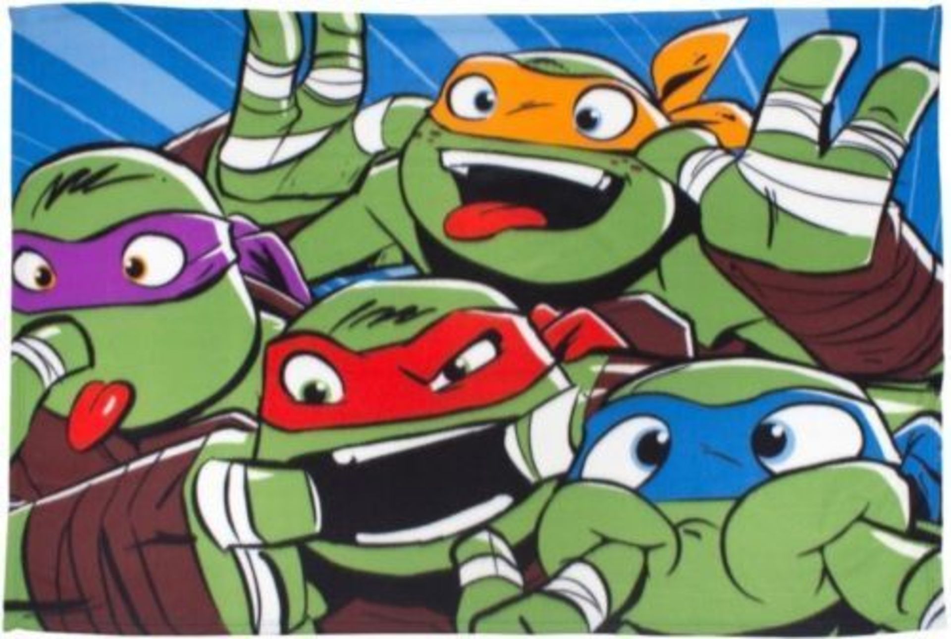5pcs Teenage Turtle fleece blankets , new and sealed - 5pcs in lot