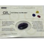 21.13ct Natural Fluorite with GIL Certificate