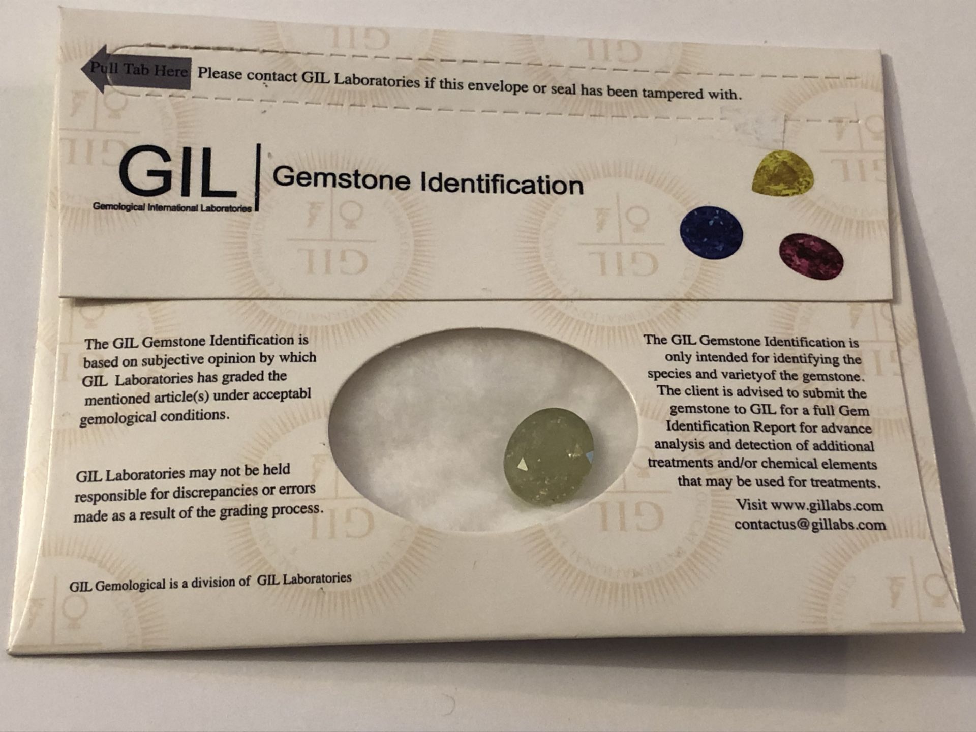 10.10ct Natural Garnet with GIL Certificate - Image 2 of 6
