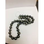 Tahitian Pearl Necklace