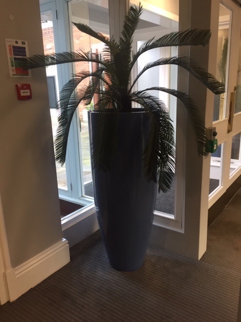 Tall round planters - Image 2 of 3