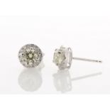 18ct White Gold Single Stone With Halo Setting Earring (1.01) 1.29