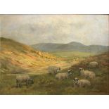 John Murray Thomson 1885-1974 R.S.A, R.S.W, P.S.S.A Sheep on hillside grazing