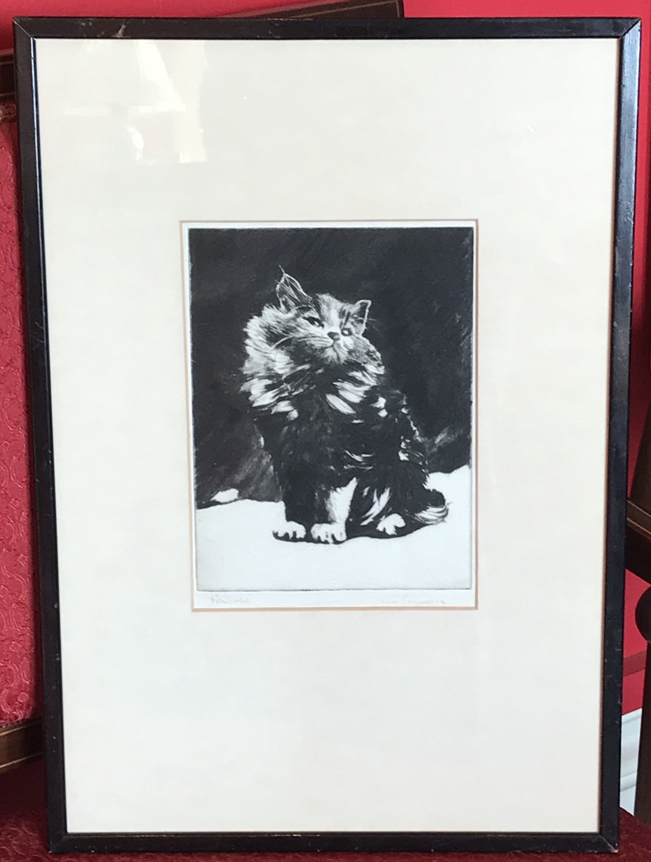 Persian Cat by artist Tom Graham fl C1940 Pencil signed etching - Image 4 of 4