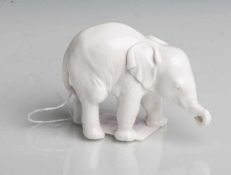 Porzellanfigur Elefantenkalb (Allach, Drittes Reich), Theodor Kärner, BodenmarkeSS-Allach, L. ca. 10