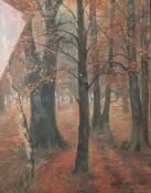 Telemann, Paul (19./20. Jahrhundert), Herbstliche Waldlandschaft, Aquarell/Farbkreide, re.u.