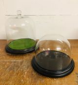 Two glass display domes on wooden bases standing approx. 22cm and 35cm tall