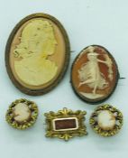 A selection of Cameos, to include earrings.