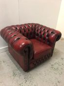 A Chesterfield style Ox Blood Club chair