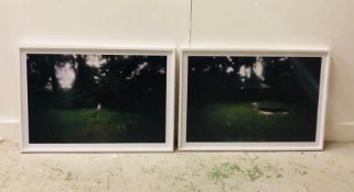 A Pair of framed photographs with a garden theme.