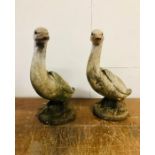 A Pair of Stone Weathered Geese Standing Approx. 56cm Tall