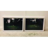 A Pair of framed photographs with a garden theme.
