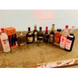 A Mix Selection of 11 Bottles of Spirits