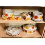 Pillivuyt France orange floral design Tableware