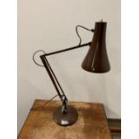 A brown Angle poise lamp