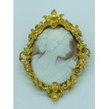 A Cameo of a lady in classical style set in a yellow metal foliate design surround.