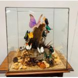 A cased Diorama of Butterflies