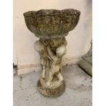 A Stone Bird Bath with cherubs holding the bath (H55cm xD30cm)