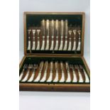 A twelve place setting fish knife cutlery set, boxed with mother of pearl handles.