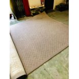 A Large taupe rug (262cm X 394cm)