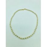 A pearl and 18ct gold necklace