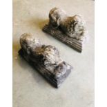 A Pair of stone cast weathered lions on plinths