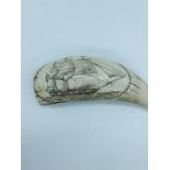 A scrimshaw style of a ship.