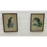 Two prints of Birds from the Grants Whiskey collection, Osprey & Peregrine Falcon.
