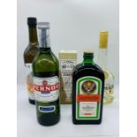 Five bottles of spirits to include Jägermeister, Pernod, Pastis, Goldshlager and Hentes Schnapps