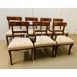 Six regency style chairs with sabre legs and one carver
