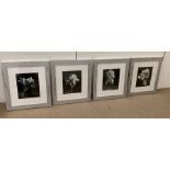 A selection of four Contemporary Black and White Photographs of Flowers in matching frames.