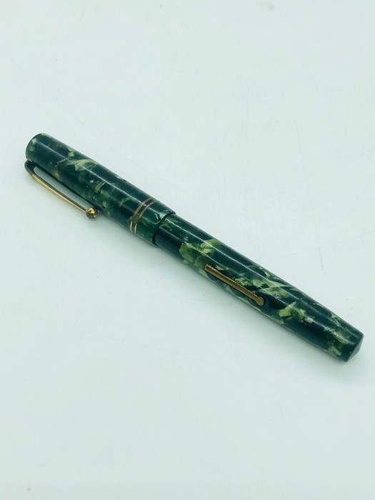 A Collectable Swan Ink Pen