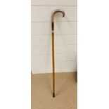 A silver handled walking stick