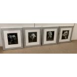 A selection of four contemporary black and white photographs of Flowers in matching frames.