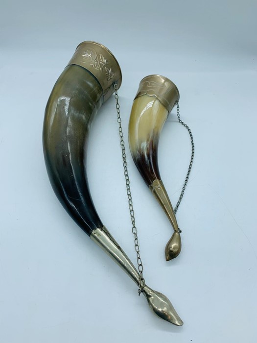 Two display horns with metal work to ends - Image 3 of 4