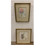 Two Dorothy McBride watercolours of flower studies 1988