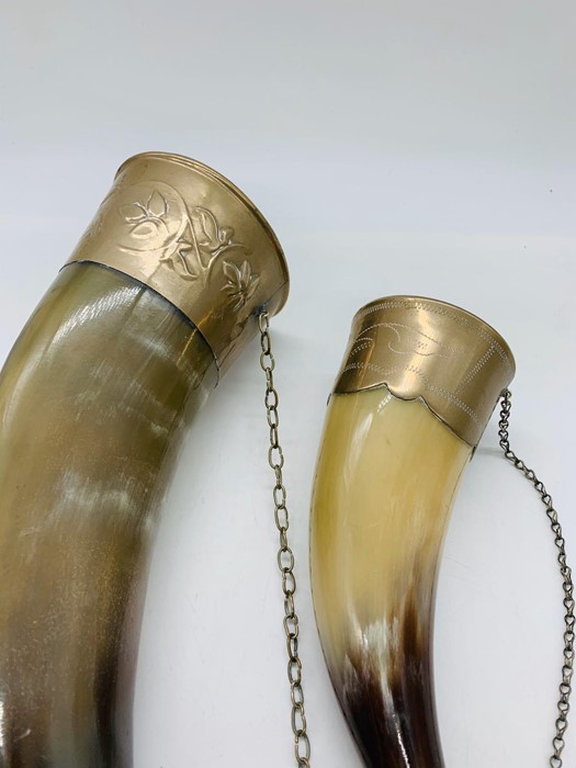 Two display horns with metal work to ends - Image 2 of 4