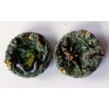 A late 19th century pair of Portuguese Palissy-style majolica plates, one with applied toad, snake