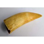 An antique sperm whale tooth, 18cm