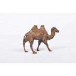 A cold painted miniature figure of a camel The camel modeled walking with typical all over glaze.