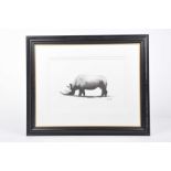 Flora Blackett (b. 1978) British A charcoal drawing of a Rhino. Signed lower right corner 36.5 x