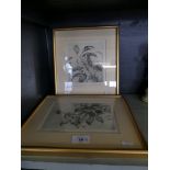 Winifred Austen, Blackcaps with ivy berries and 'Lesser White Throat' etchings, framed and glazed (