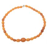 An amber style bead necklace The graduated oval beads with a spring ring clasp, largest bead