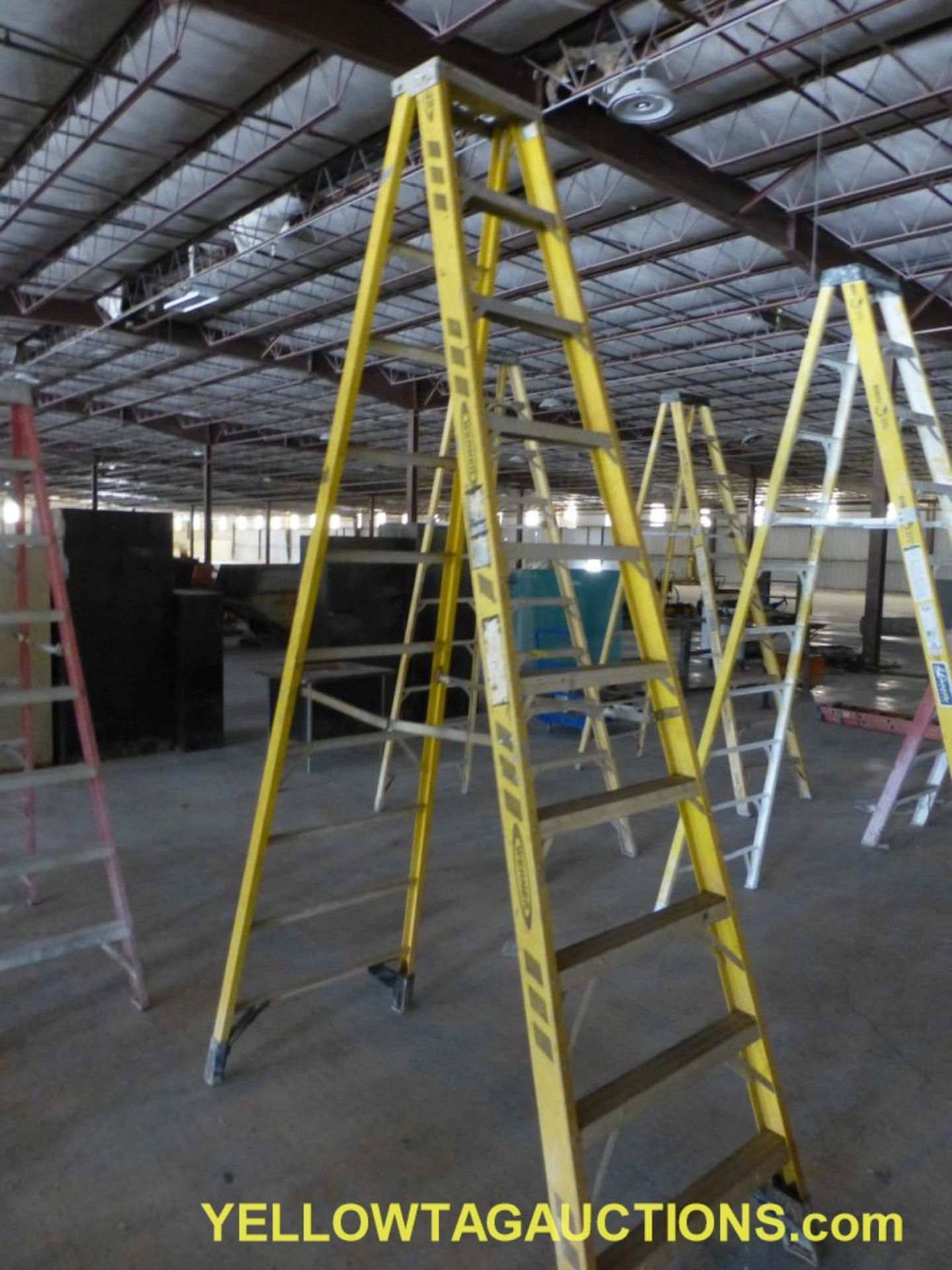 Werner 10' Fiberglass Ladder