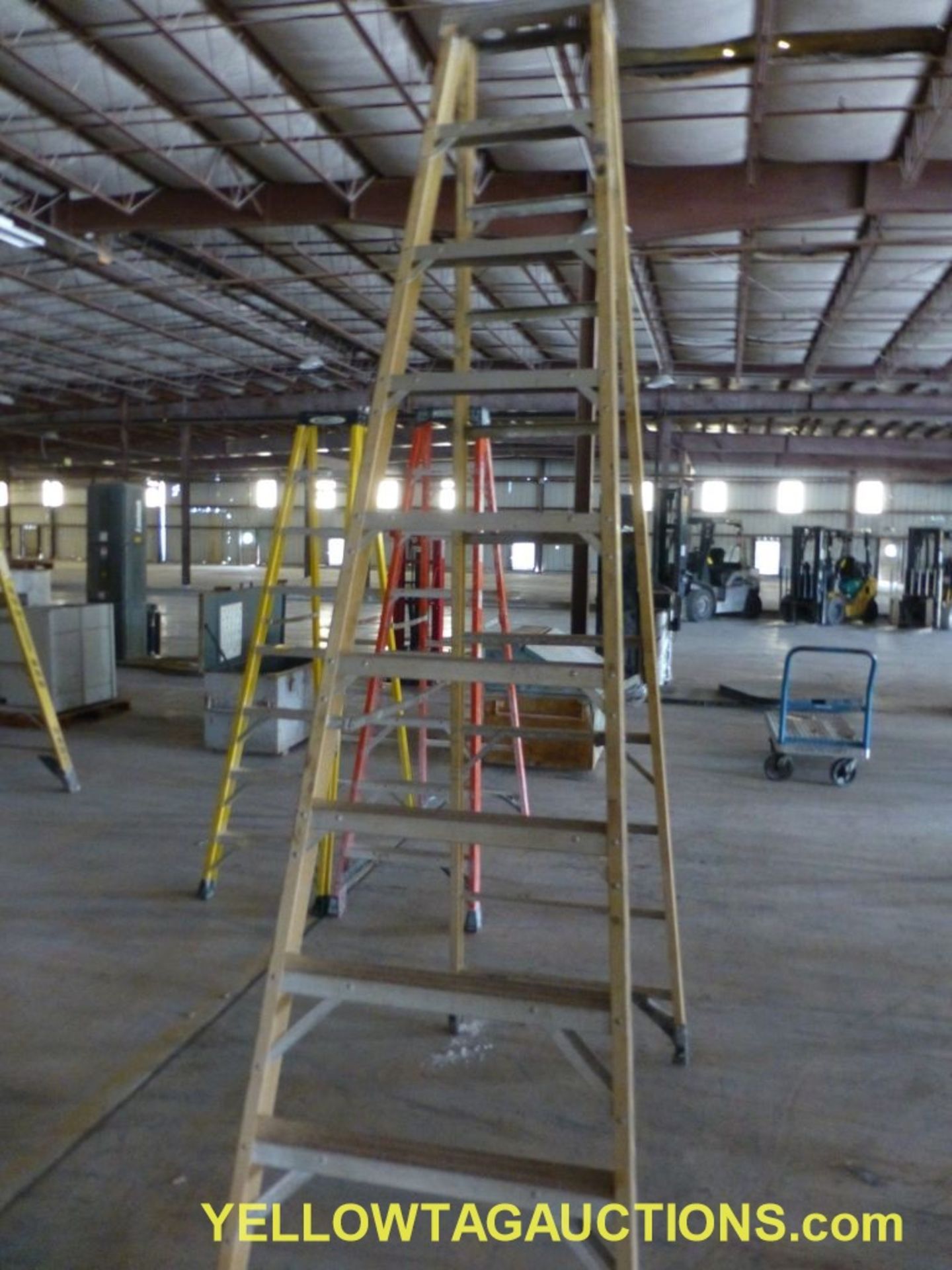 Werner 10' Fiberglass Ladder