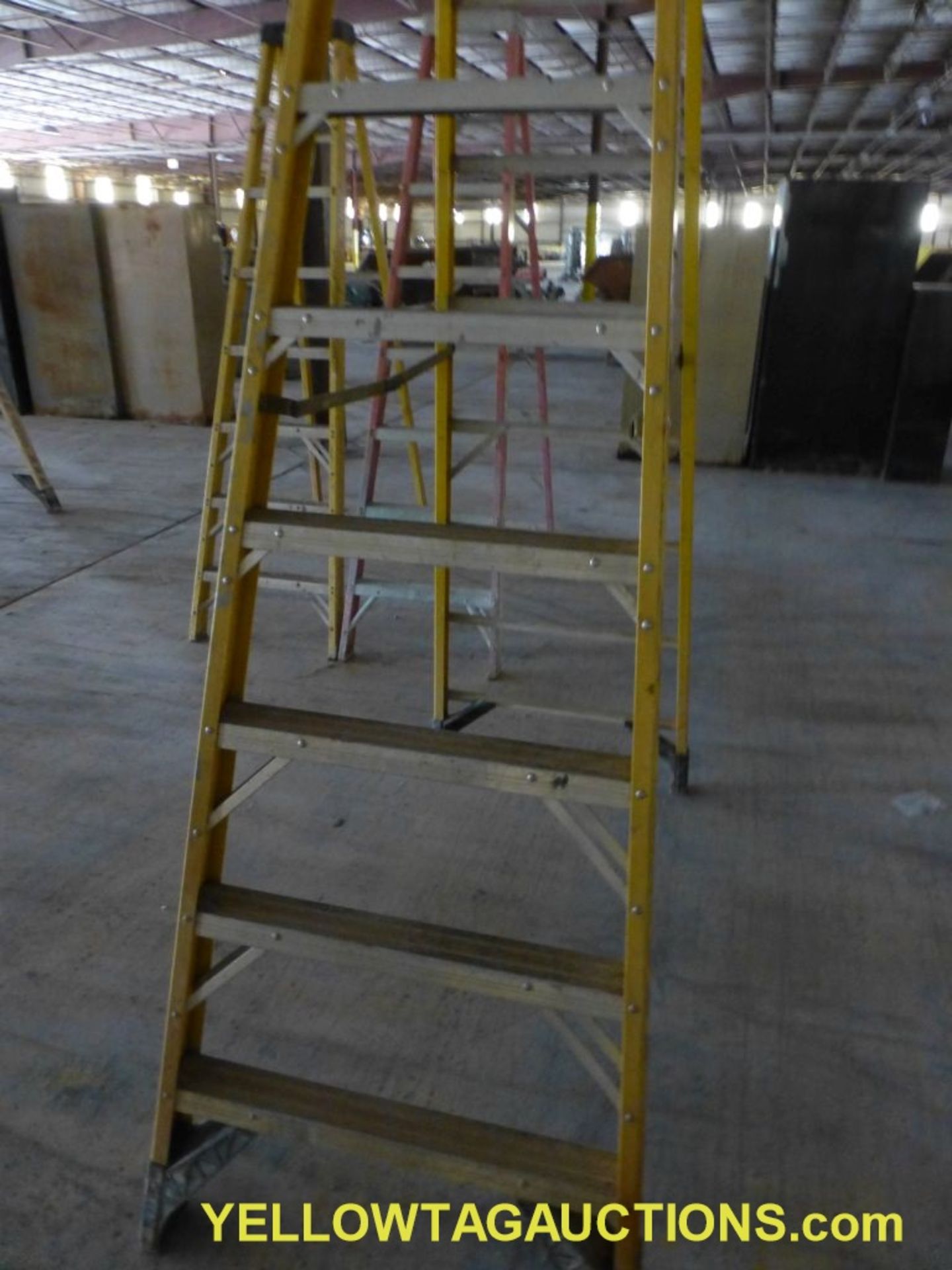 Werner 10' Fiberglass Ladder - Image 3 of 3