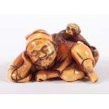 NETSUKE SCHLAFENDER AFFENGAUKLER, Elfenbein, schöne goldgelbe bis bernsteinfarbene Patina, auf dem