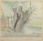 SANDER, Theodor (1858-1935), "Der alte Baum", Farbstift/Papier, 22 x 23, unten rechts signiert, R.