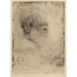 HAHN, Peter, "Portrait", Original-Radierung, 37,5 x 26,5, bez. Probedruck, handsigniert, läs., R.